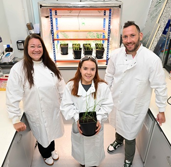 caption:From l-r: Dr Angela Sherry, Dr Emma Riley, and Dr Ciaran Kelly, of Northumbria University