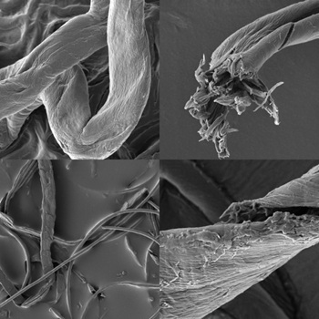 caption:Samples of fibres from different fabrics, which have been analysed as part of the project.