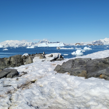Caption: Views of Antarctica. Photo by Professor Andrew Shepherd, CPOM.