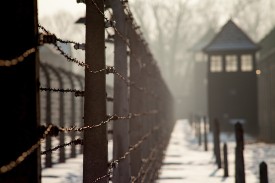 history dissertation sample Auschwitz-Birkenau