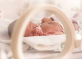 Premature Baby Research Nav image