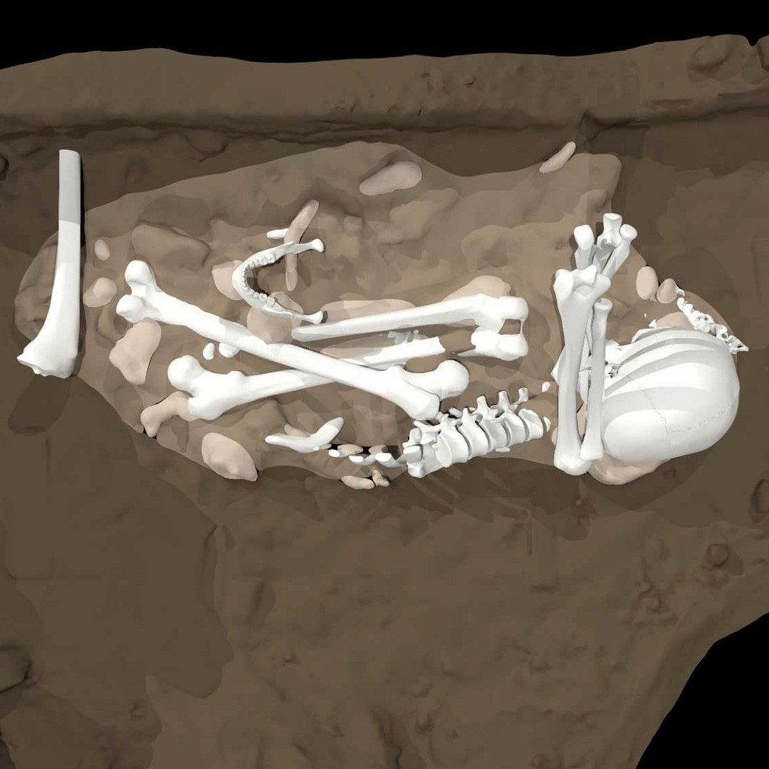 Artist’s reconstruction of the burial of an adult Homo naledi found in the Dinaledi Chamber (credit Berger et al., 2023)