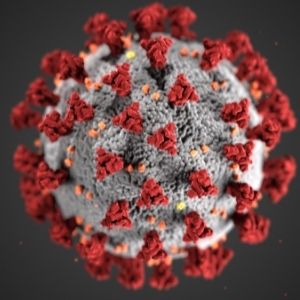 Computer generated image of Covid-19 virus