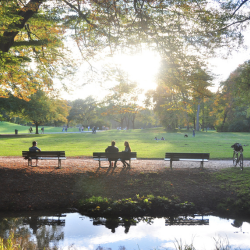 An image of people sitting on benches in a park surrounded by trees