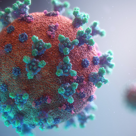Image of the coronavirus.