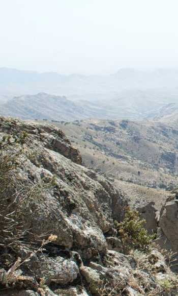 Caption:A region in Central Asia where ancestors would have migrated