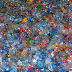 plastic bottles