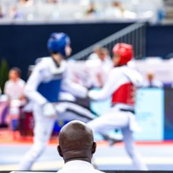 Caption:Taekwando competition with referee