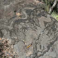 An example of stromatolites investigated in the study found in the Cheshire Formation of the Belingwe greenstone belt, Zimbabwe. Photo credit: Professor Axel Hofmann