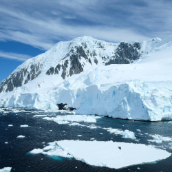 IcePiracy5_BAS_2025