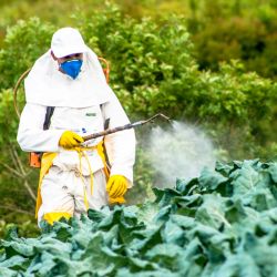 Caption:A pesticide sprayer in Brazil (Getty Images)