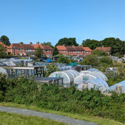 Researchers from the University of Glasgow and Northumbria University have been awarded £2.5 million from the National Institute for Health and Care Research (NIHR) to conduct evaluations of local government public health interventions. 