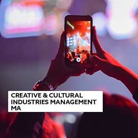 Creative & Cultural Industries Management