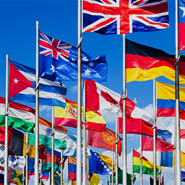 numerous flags of different countries