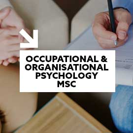 Occupational Psychology MSc