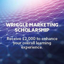 wriggle marketing scholarship