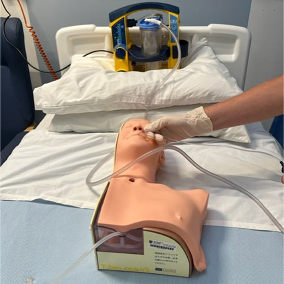 Image of a physiotherapy simulation