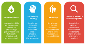 Clinical practice, facilitating learning, leadership, evidence research and development
