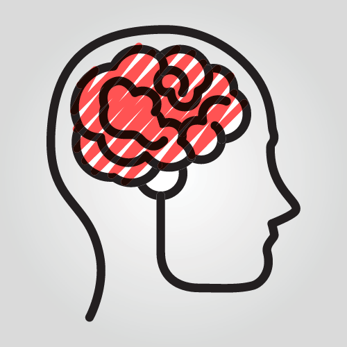 line drawing of a brain