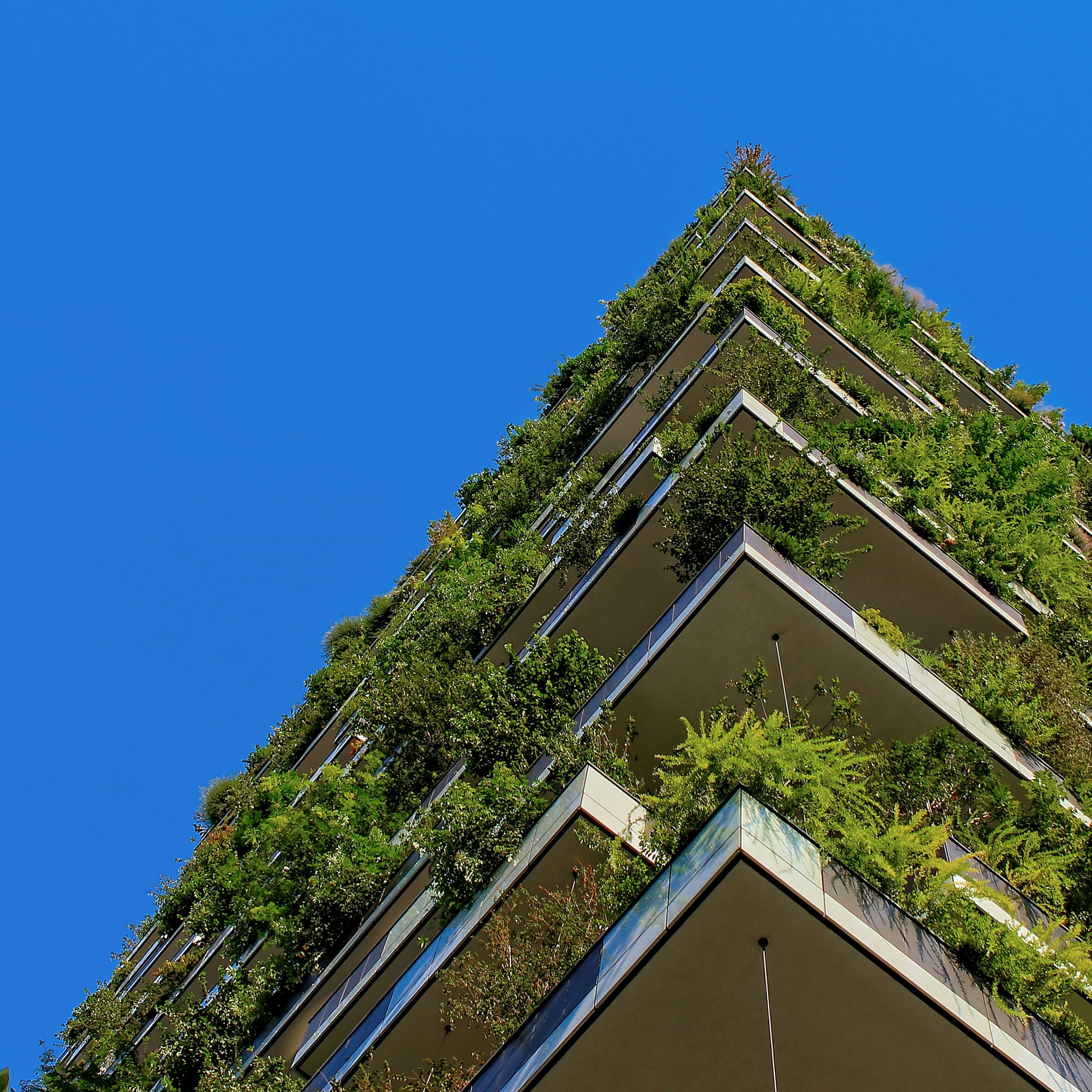 Living wall on city building