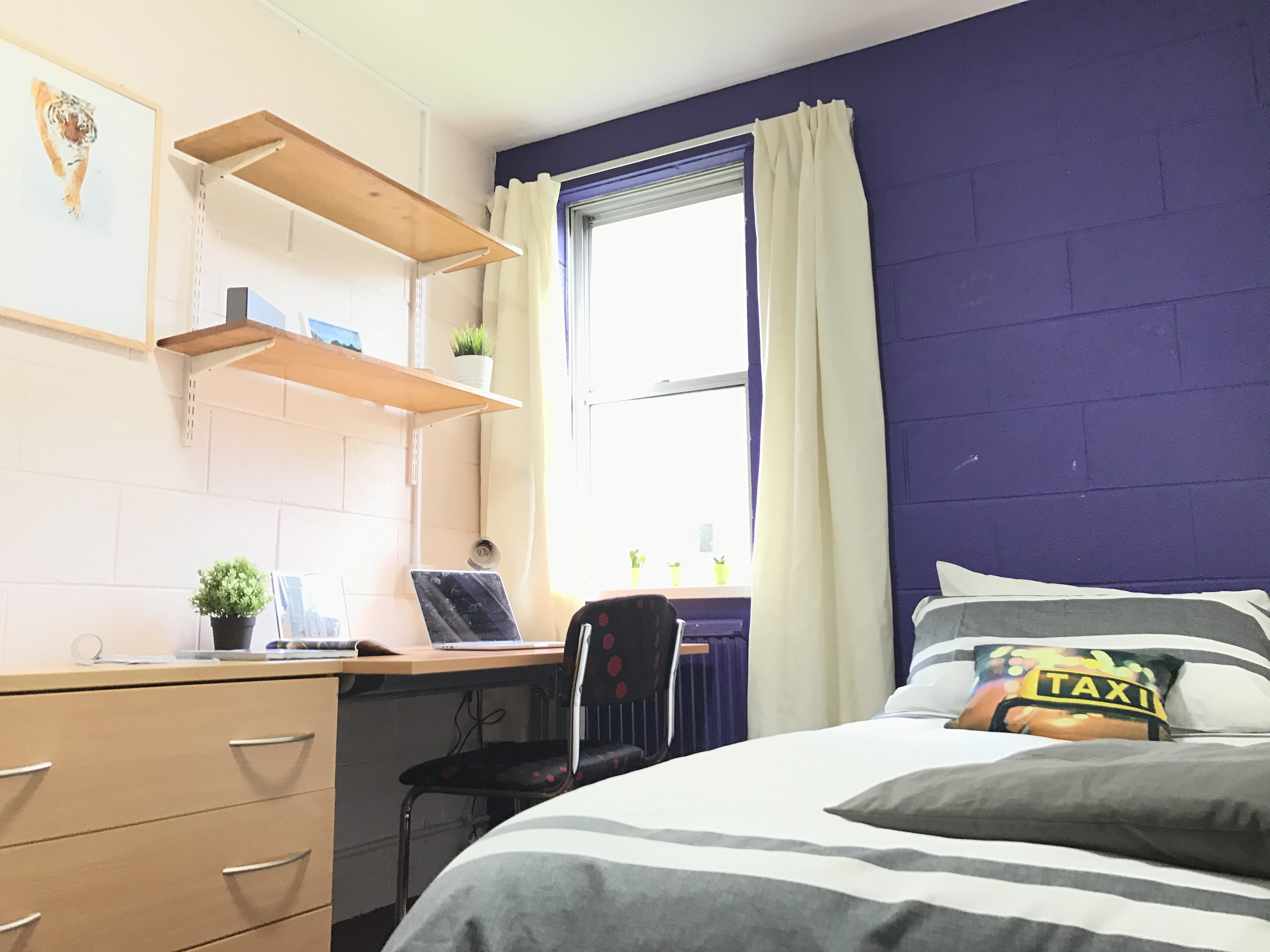 Loveine Hall Bedroom purple
