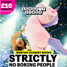 girl holding unicorn teddy