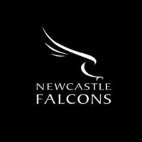 logo of falcons rugny