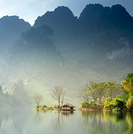 a body of water surrounded by trees