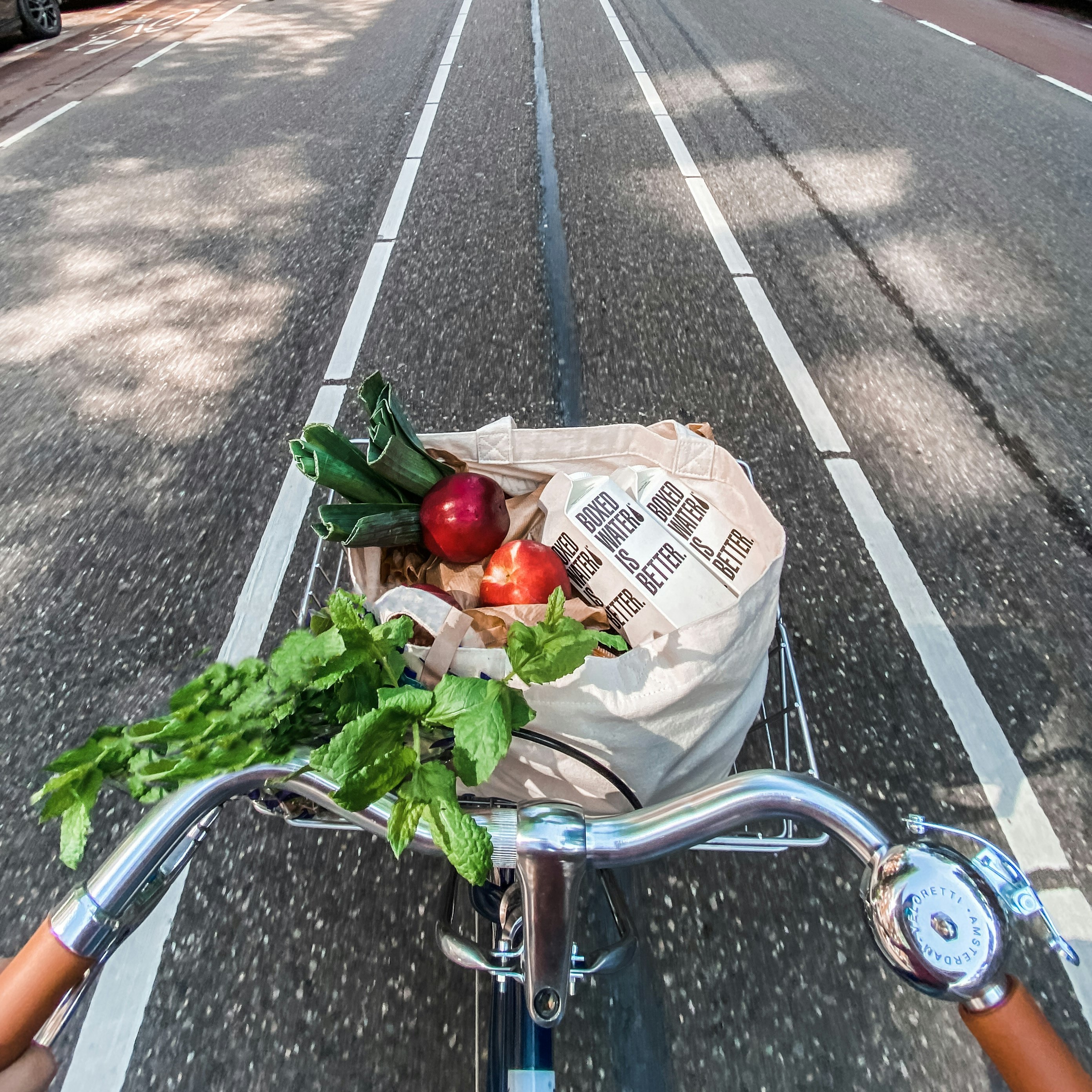 Bike basket with fruit and vegetables