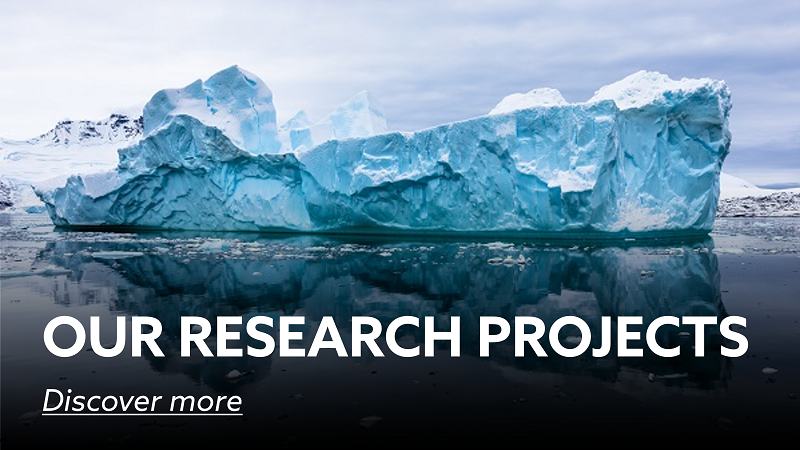 Our research projects