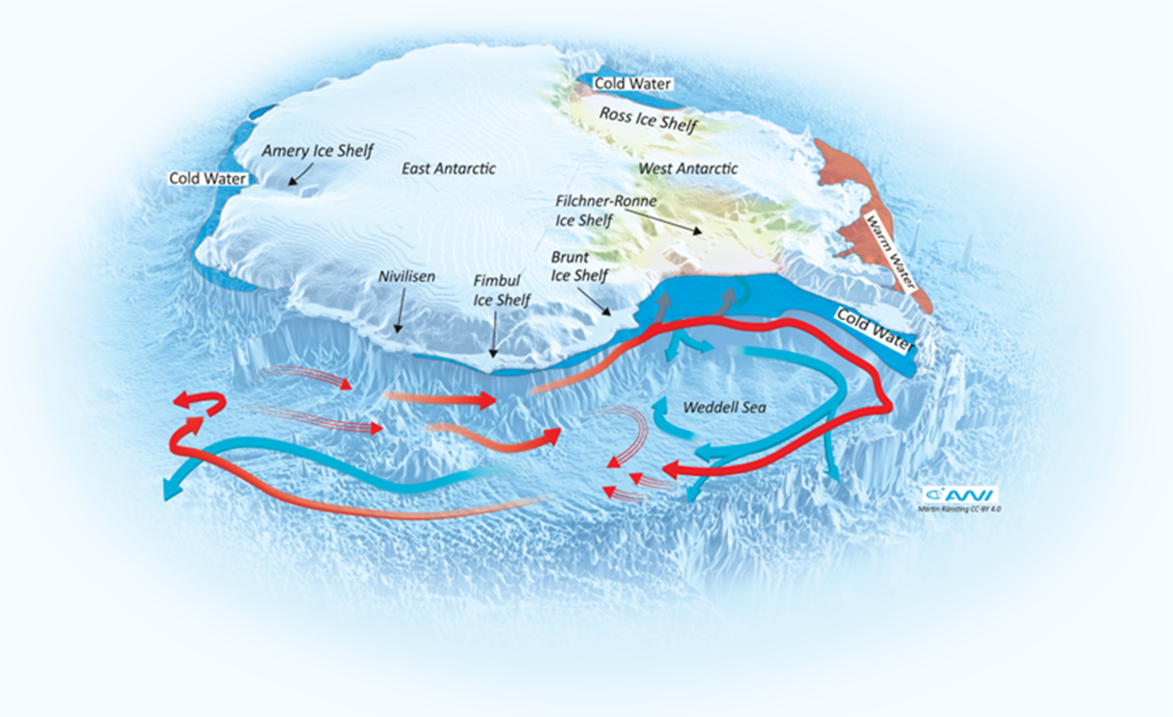 Illustration of TiPPaCs project