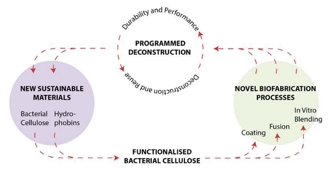 Fibre Fusion diagram