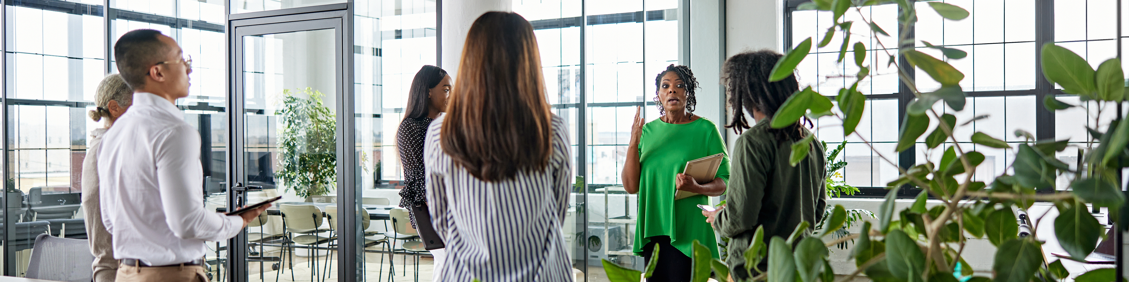 People Talking in an office with plants