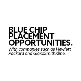 Blue Chip Placement Opportunities with companies such as Hewlett Packard and GlaxoSmithKline.