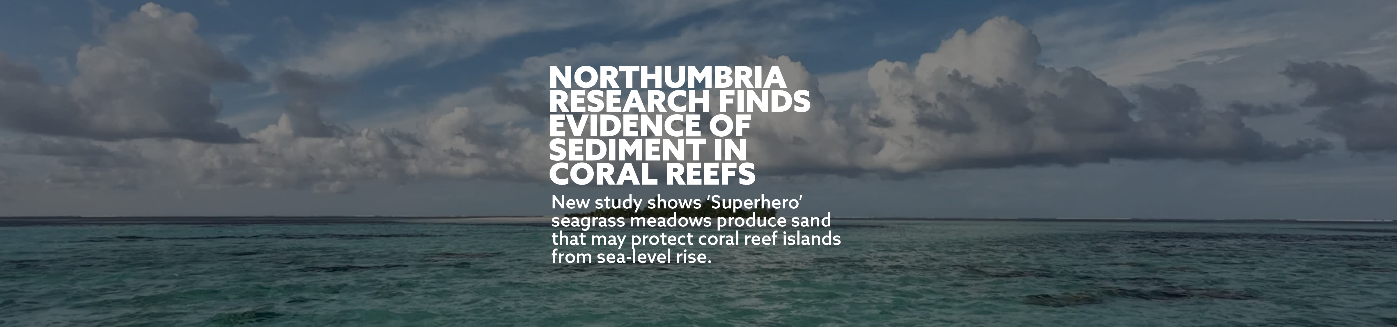 Northumbria Research finds evidence of sediment in coral reefs