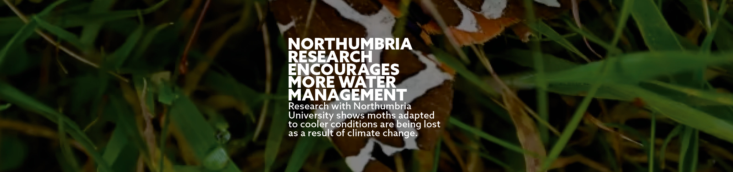 Northumbria research encourages more water management