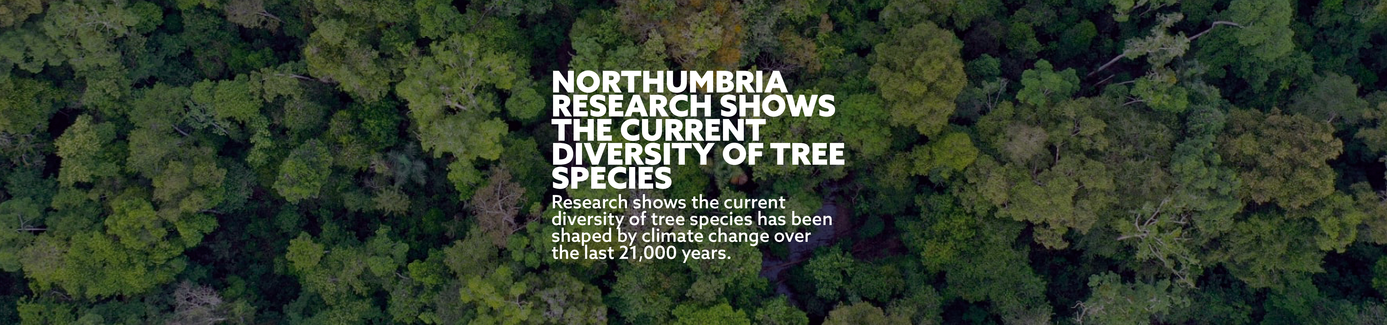 Northumbria research shows the current diversity of tree species