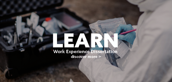 Learn, work experience dissertation. Discover more