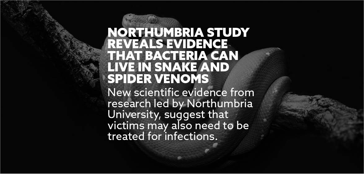 Northumbria research on snake bite image