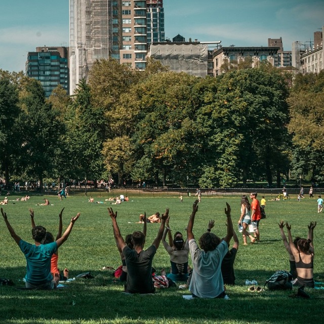 Women enjoying local park