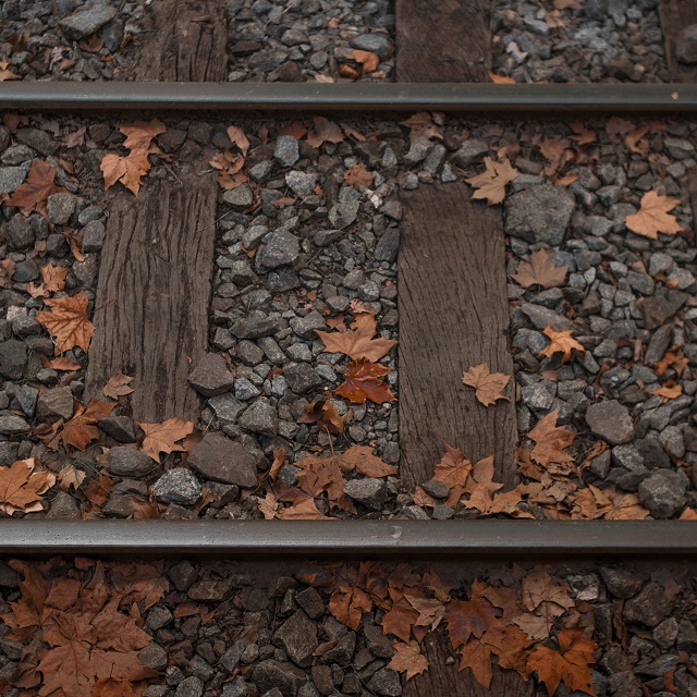 brown wooden train tracks