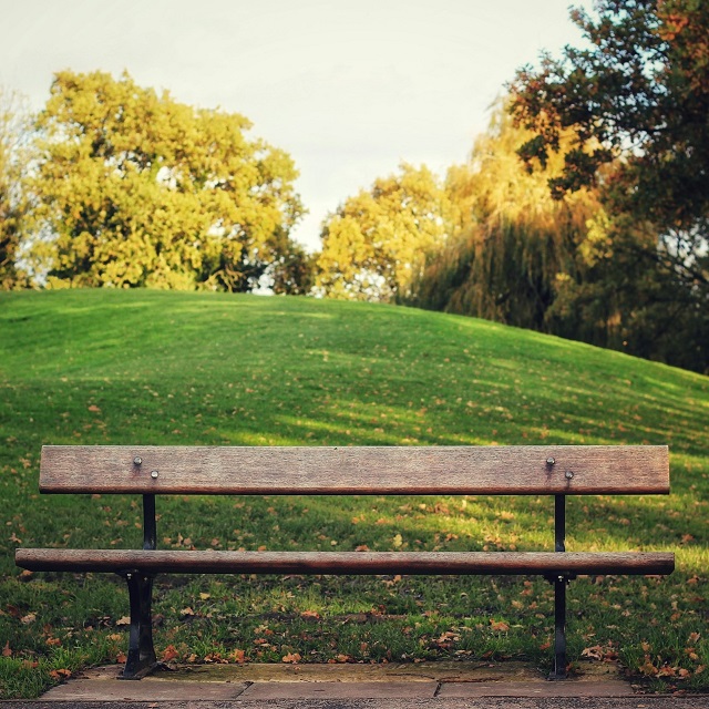 Park bench on sunny day