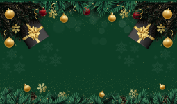 Christmas Market and Tree lighting