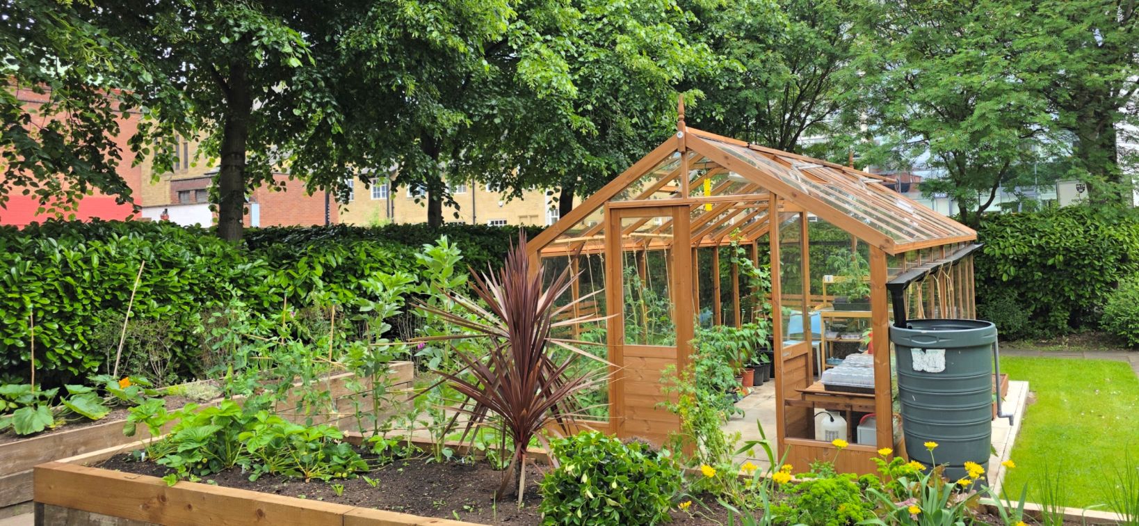 Shed