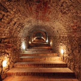 A brick tunnel dimly lit