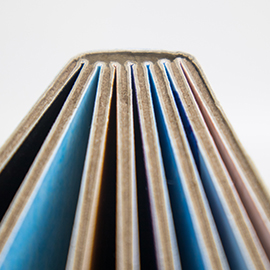 Image of the spine of a book